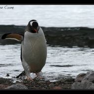 IMG 9546 IMG 9546