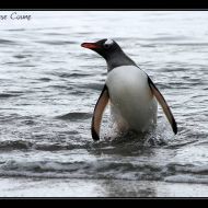 IMG 9549 IMG 9549