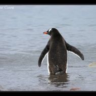 IMG 9551 IMG 9551