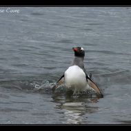 IMG 9572 IMG 9572