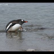 IMG 9588 IMG 9588