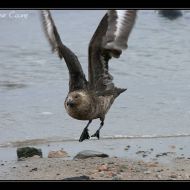 IMG 9592 IMG 9592