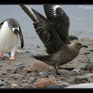 IMG 9595 IMG 9595