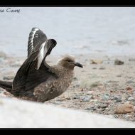 IMG 9596 IMG 9596