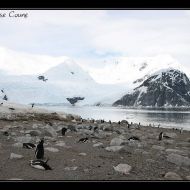 IMG 9597 IMG 9597