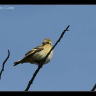IMG 4112 IMG 4112