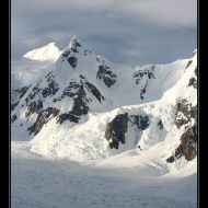 IMG 1247 IMG 1247