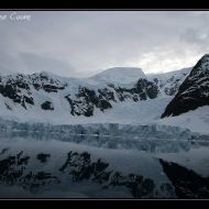 IMG 1250 IMG 1250