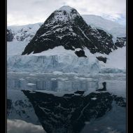 IMG 1253 IMG 1253