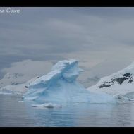IMG 1280 IMG 1280