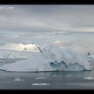 IMG 1290 IMG 1290