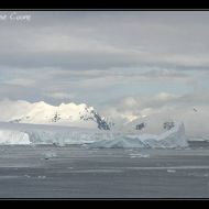 IMG 1292 IMG 1292