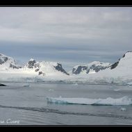 IMG 1293 IMG 1293