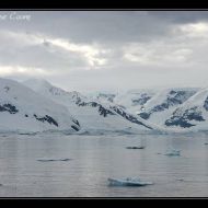 IMG 1294 IMG 1294