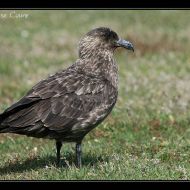IMG 4033 IMG 4033