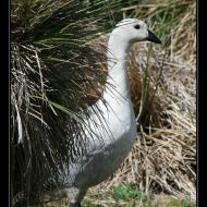 IMG 4049 IMG 4049