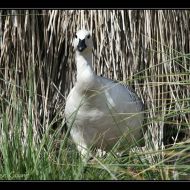 IMG 4053 IMG 4053