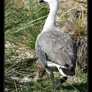 IMG 4056 IMG 4056