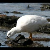 IMG 4059 IMG 4059