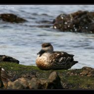 IMG 4063 IMG 4063