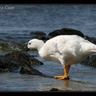 IMG 4072 IMG 4072