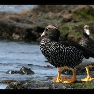 IMG 4073 IMG 4073