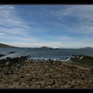 IMG 4074 IMG 4074