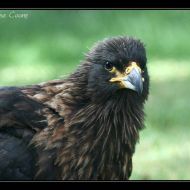 IMG 4094 IMG 4094