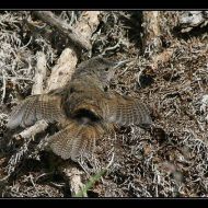 IMG 4128 IMG 4128