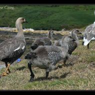 IMG 4165 IMG 4165