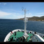 IMG 4181 IMG 4181
