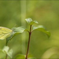 180728 1N3A6182